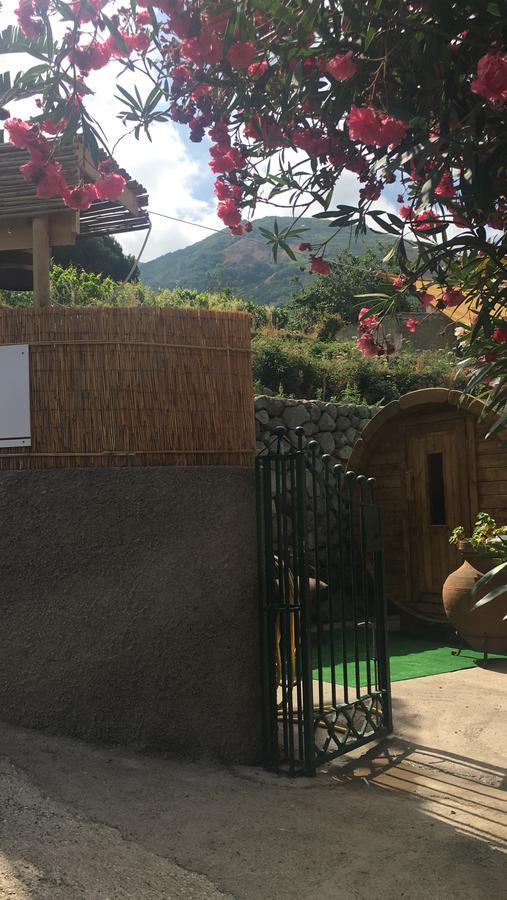Residence Villa Cristina Forio di Ischia Zewnętrze zdjęcie