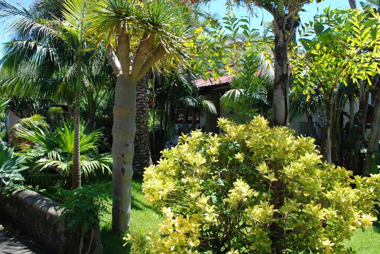 Residence Villa Cristina Forio di Ischia Zewnętrze zdjęcie